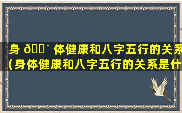 身 🐴 体健康和八字五行的关系（身体健康和八字五行的关系是什么）